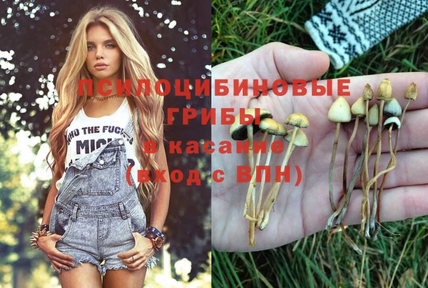марки lsd Алзамай