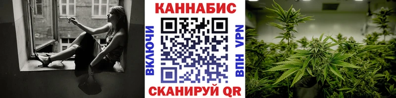 блэк спрут маркетплейс  Буй  Канабис индика 
